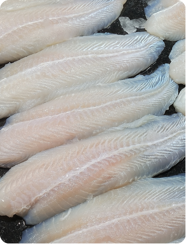 Dori Fillet